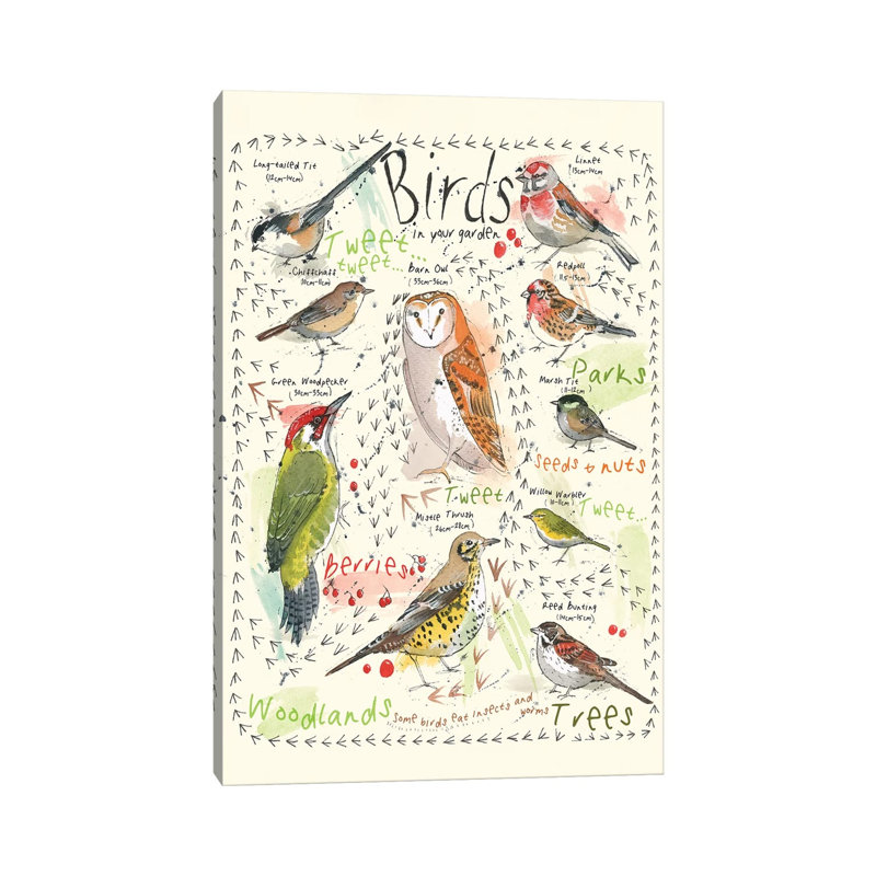 Birds In Your Garden III by Michelle Campbell - Wrapped Canvas Painting, 20.32 cm H x 30.48 cm W