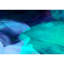 Dance Of Colors - 5 Piece No Frame Print on Canvas-308246903-382077500