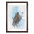 Walnut Framed selected