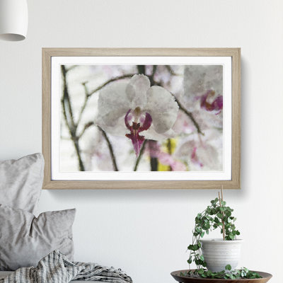 Orchid Flowers Vol.4 - Framed Print