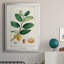 Turpin Tropical Botanicals V, reproduction d'art encadrée-88436655-88436657