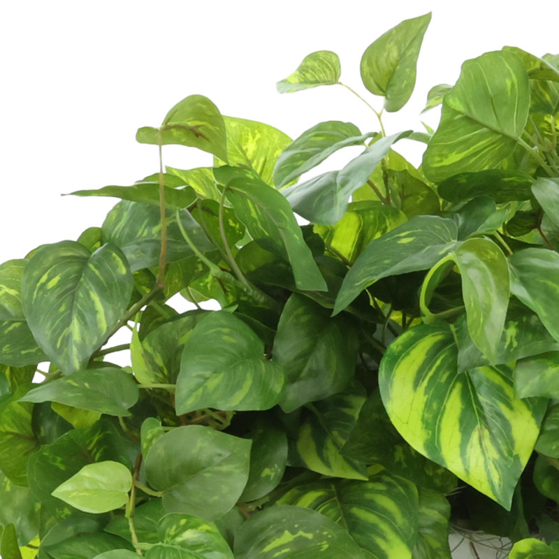 14 " H Faux Pothos Plant in Fiberstone Pot