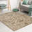 Benson Oriental Indoor Rug-17250342