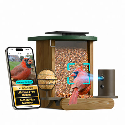 Mangeoire d'oiseaux Birdfy Cedar D Smart, bois de cèdre durable, HD 1 080 P, 60 images par seconde au ralenti, vision nocturne, énergie solaire