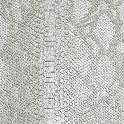Amazon Fabric