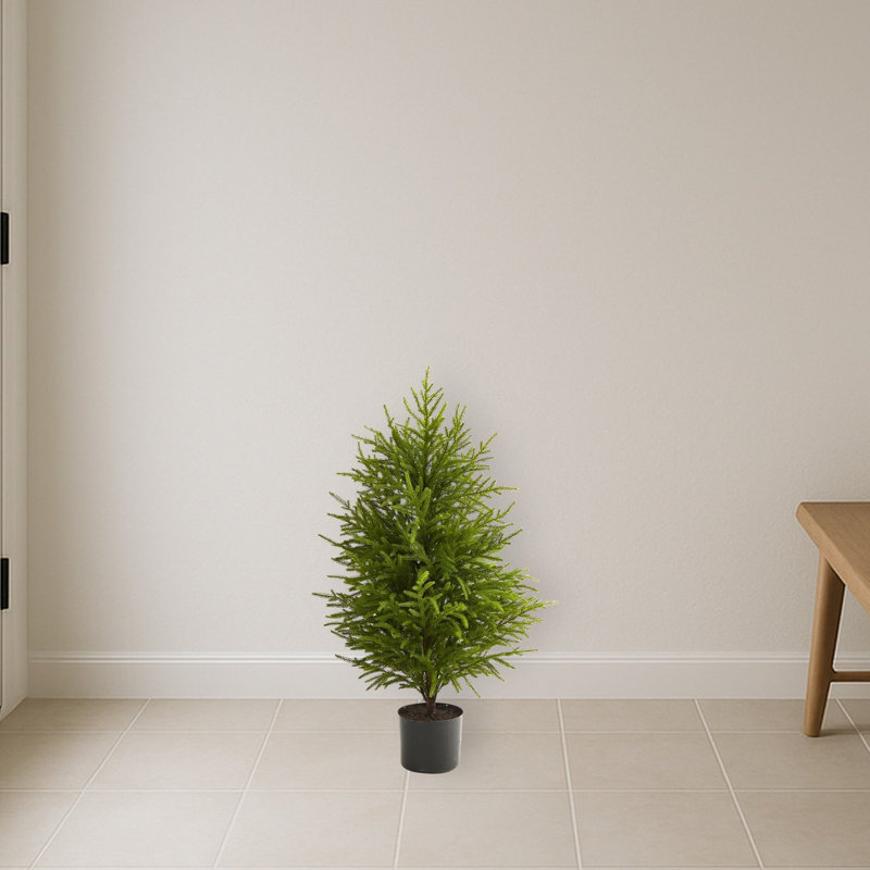 Arbre de Noël artificiel Norfolk Island