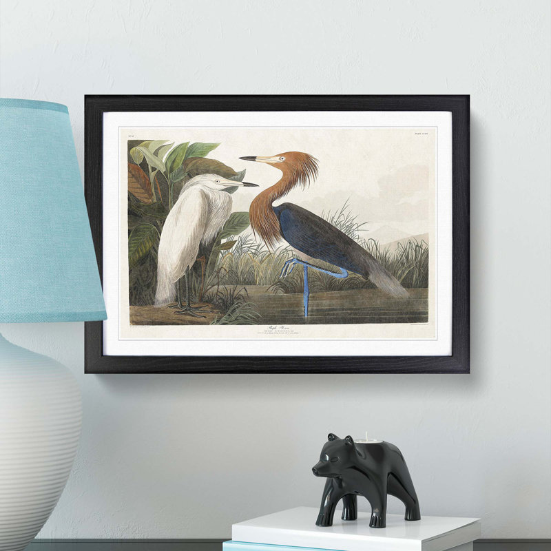 Heron by John Audubon - Picture Frame Painting Print, 27cm H x 36cm W x 2cm D, Black Framed