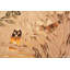 One-of-a-Kind Rectangle 3'6" X 6' Area Rug