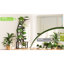 Support pour plante d'intérieur 9 avec lumières de croissance Spectrum, 3 modes d'éclairage, construction, espaces de 63,6 po de hauteur et design
