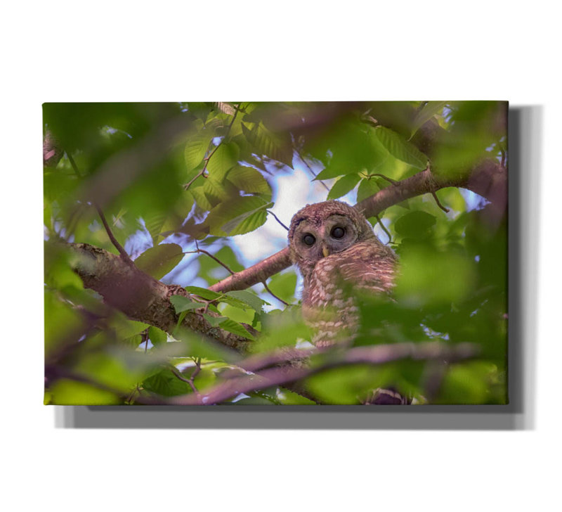 Toile épique «The Watcher» par Rick Berk, 18 po x 12 po, H 26 po x l 40 po x P 1,5 po