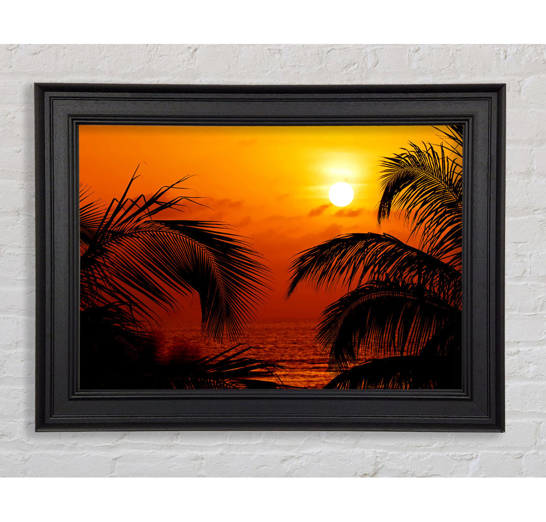 Orange Palmtree Sun Gerahmter Druck