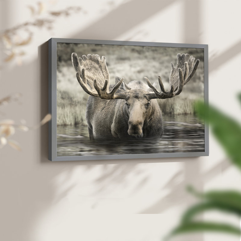 Moose Hot Springs - reproduction encadrée - réarmable, Gris, H 22 po x l 28 po