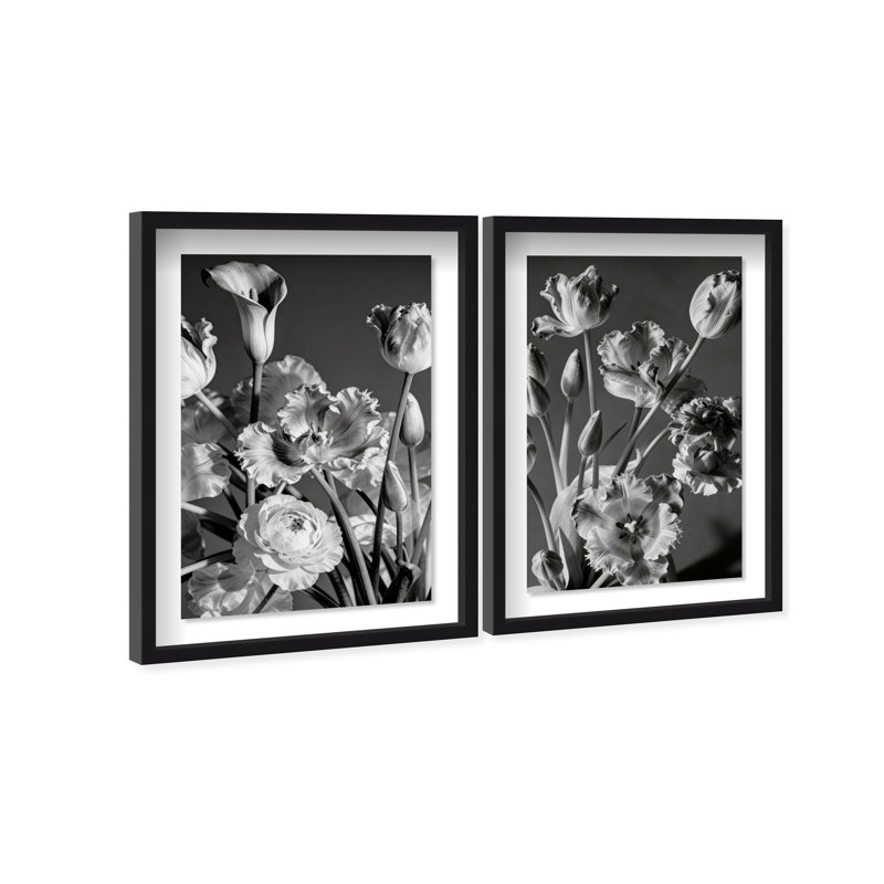 Botanique Noir Set Set by Oliver Gal, Black Shadowbox, 21.5"H x 31.5"W