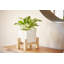 Ceramic Indoor Planter with Wood Stand