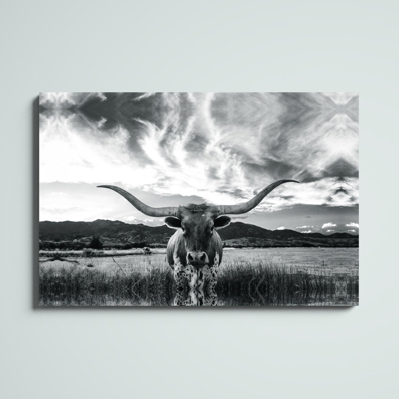 «Black and White Longhorn Cow I», photographie sur toile tendue, H 32 po x l 48 po, Unframed, Sans cadre