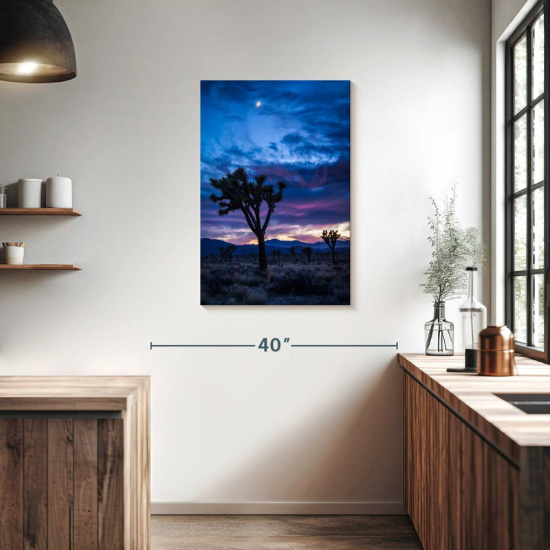 Aime Joshua Tree Park la nuit, H 36 po x l 24 po