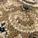 Luxe Weavers Oriental Floral Area Rug