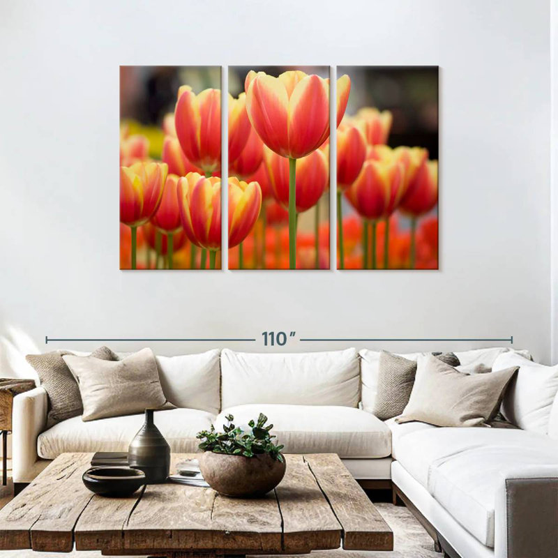 Harnek Darwin Hybrid Tulips, 48" H x 74" W