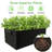 Planter Box-70050532-70050533