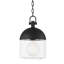 Zephyr 1 Light Pendant