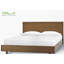 Cielo back care foam mattress-69401238