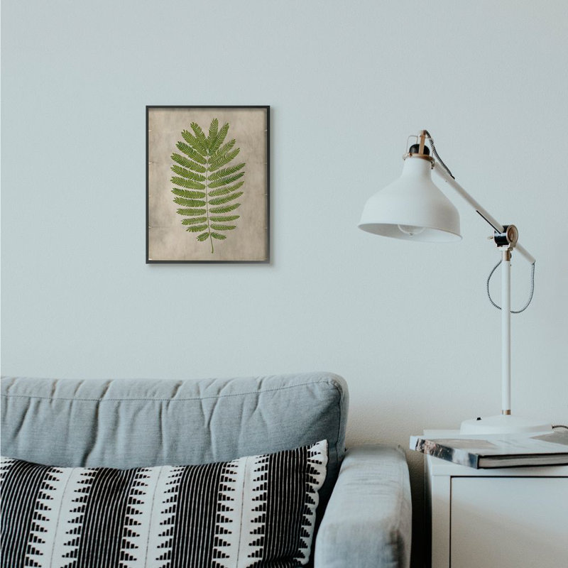 « plante parchemin green », impression, H 11 po x l 14 po, Giclée encadrée noir minuit