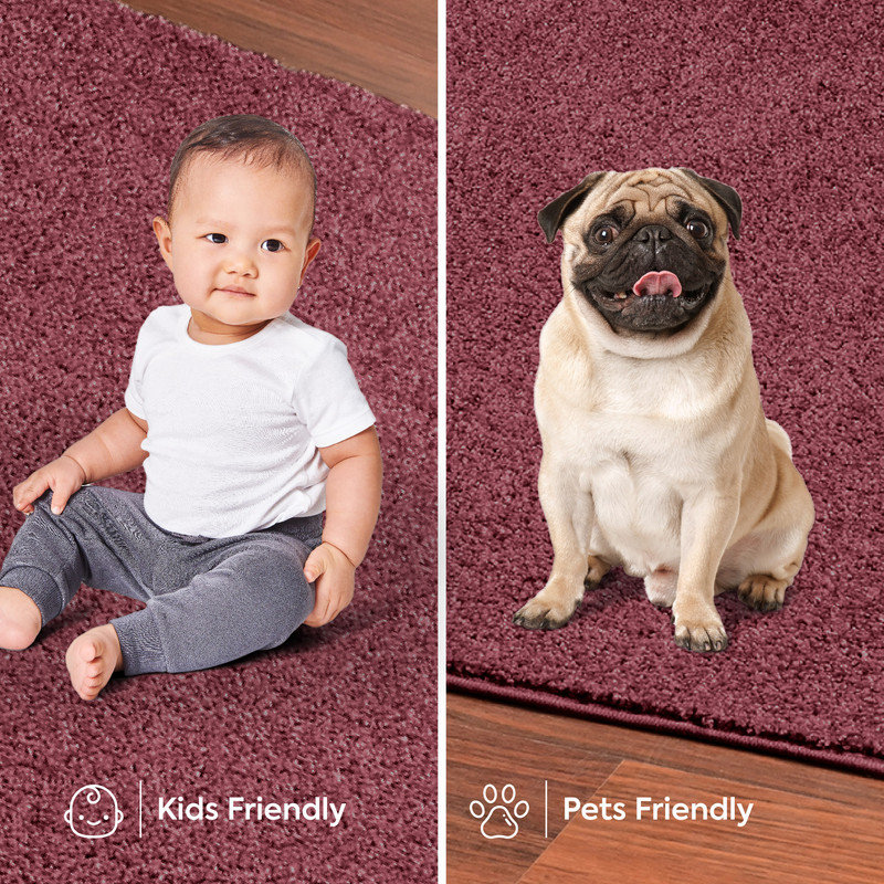 Amberle Washable Indoor Rug