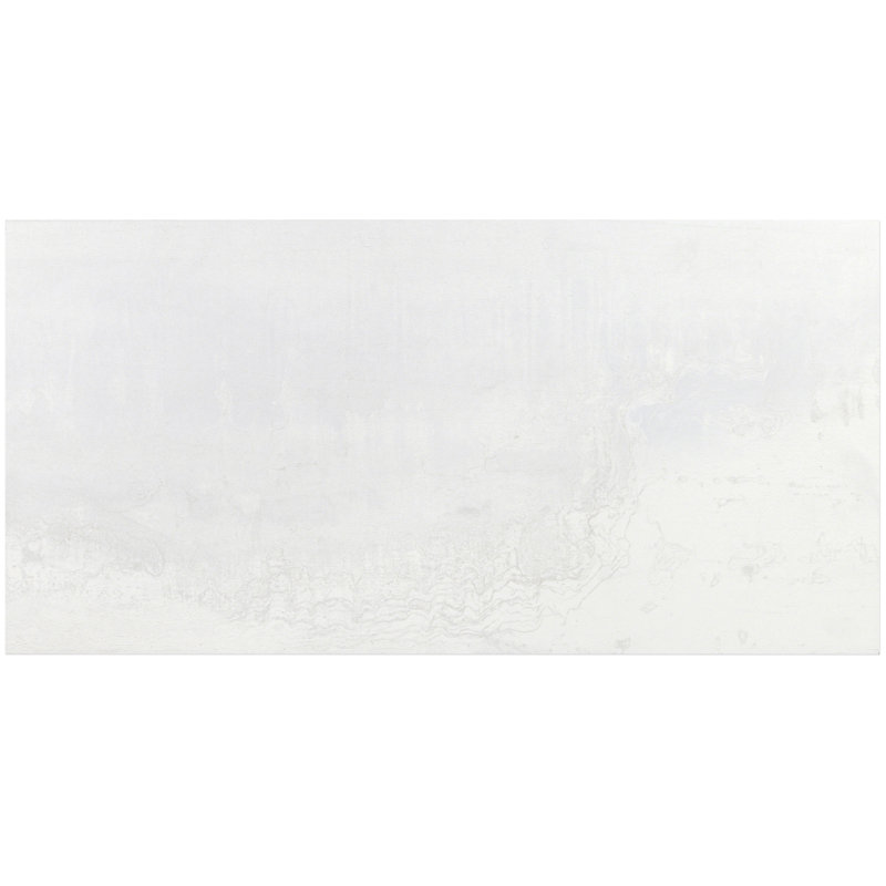 Alloy 12" x 24" Porcelain Metal Look Wall & Floor Tile ( 15.49 sq. ft. / box ), Silver