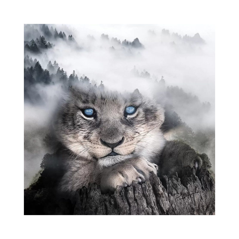 Cub by Paul Haag - Print on Canvas, 45.72 cm H x 45.72 cm W x 1.91 cm D, Wrapped Canvas