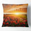 Magnifique champ de dépilaments abstraits au coussin coucher de soleil-30628724-30628727