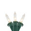 Mini ensemble de guirlandes de Noël-823880939-823880943-847055759