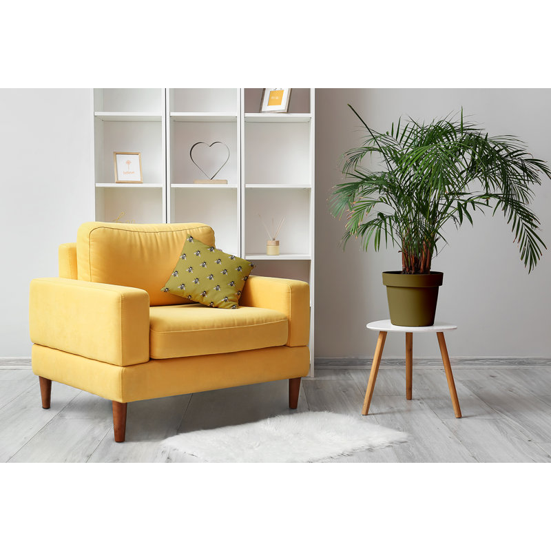 Coussin décoratif Bee Buzz, H 18 po x l 18 po, Or estompé, Carré