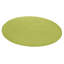 Fancy Green Rug-23403875