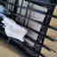 Photos des clients 1 de 1