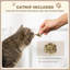 Cat Scratching Board 2-in-1 Cardboard Lounge with Catnip Brown