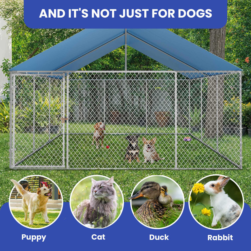 Chenil d'extérieur avec toit imperméable pour chiens, poulets, lapins, canards et petits animaux