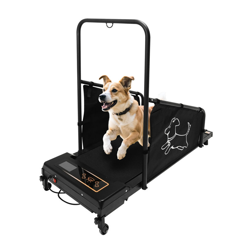 Tapis roulant pour chiens de taille moyenne avec une surface de course longue de 37,5 po, des patins antidérapants, une télécommande, un pré-exercice, une surveillance des calories en temps réel, des écrans latéraux, une utilisation intérieure,