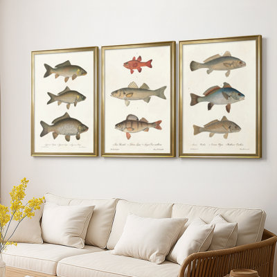Espèces de poissons antiques I - Toile tendue avec châssis sur mesure - 3 pièces