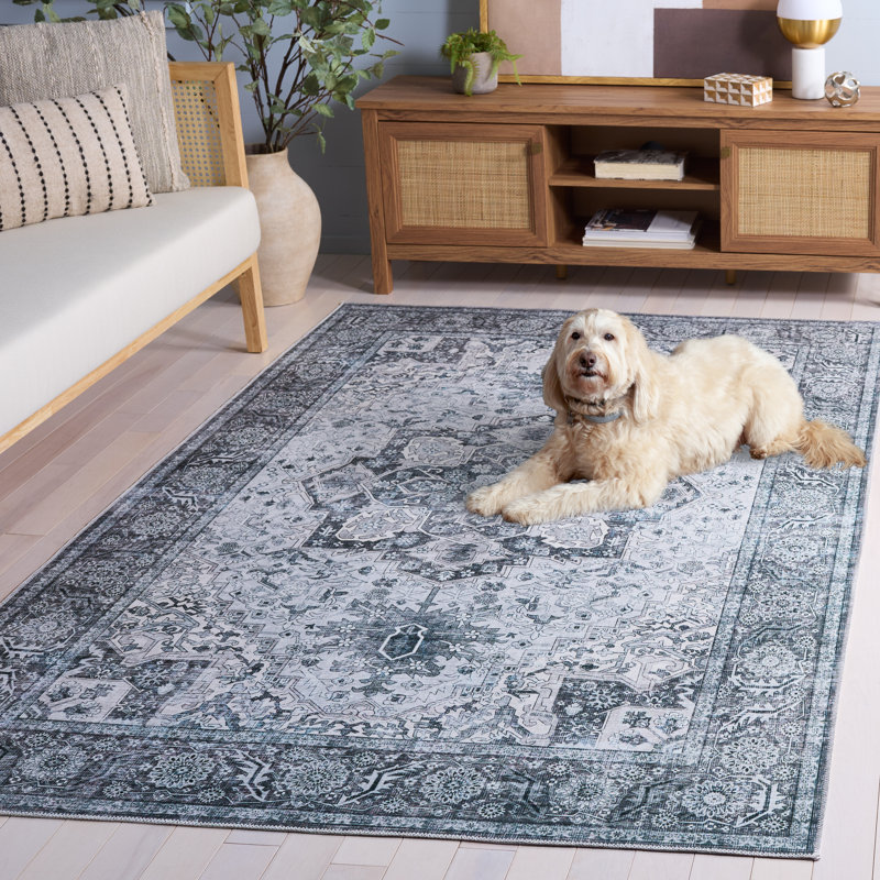 Arizona 237 Performance Machine Washable Oriental Rug, Rectangle 5' x 8'