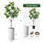 Artificial Tree in Modern Geometric Pattern Planter Fake Rubber Silk Tree (Plant Pot Plus Tree)-104347535