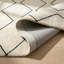 Tapis intérieur / extérieur à treillis beige / noir 8 pi x 11 pi (7 pi 10 po x 10 pi 10 po) Lenya de Branch Branch-566972000