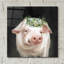  «Barnyard Whimsy 3» par Danhui Nai, art mural en verre acrylique-877387637