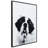 " Saint Bernard " Mixed Media and Black and White Photography Print