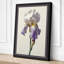Iris in Bloom Botanical 1 Piece Wrapped Canvas Wall Art-688711873-688711886