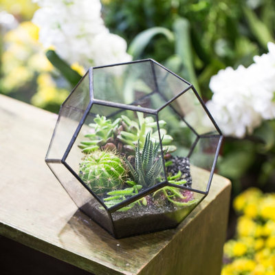 Terrarium géométrique en verre 6,9 po Pentarium