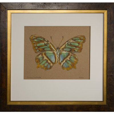 Acker " Pearly Malachite " by Acker