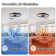 16" Led Flush Mount Ceiling Fan Light With Remote
