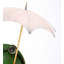 Statue de grenouille Leotilde-817430850