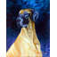 Great Dane Double Sided 40'' H x 28'' W Polyester Animal House Flag