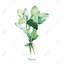 Ensemble de feuilles de basilic attachées - Impression gastronomique-376368221-376368220